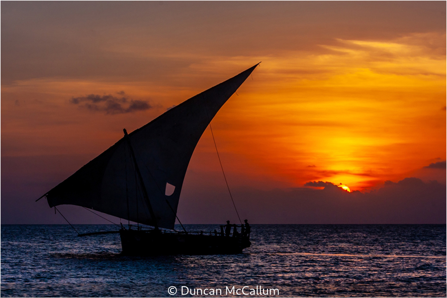 8 Duncan McCallum_Sailing Home
