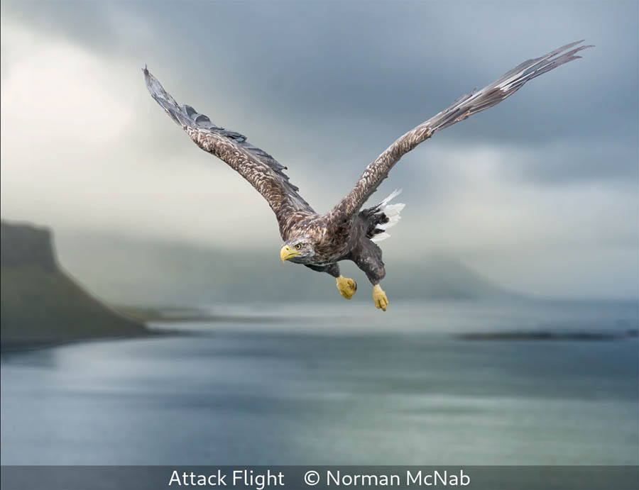 Norman McNab_Attack Flight