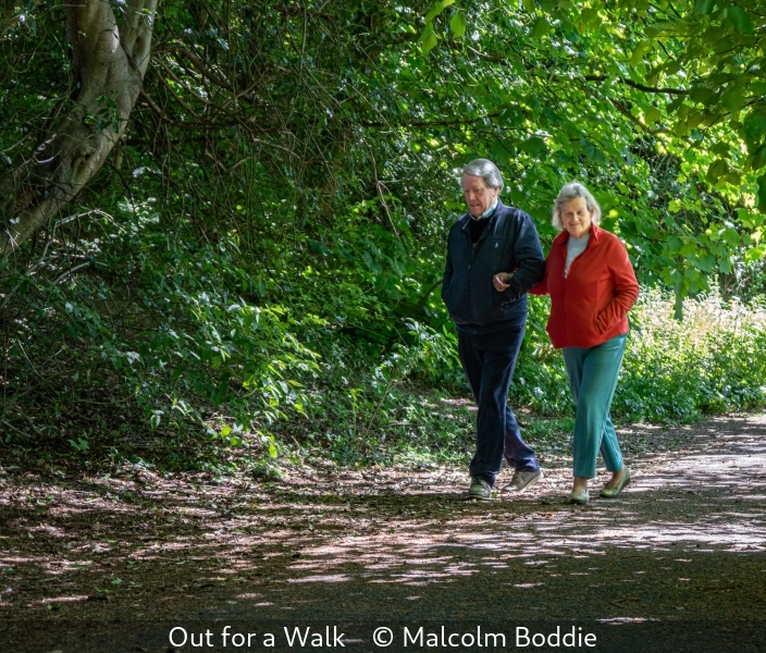 Malcolm Boddie_Out for a Walk