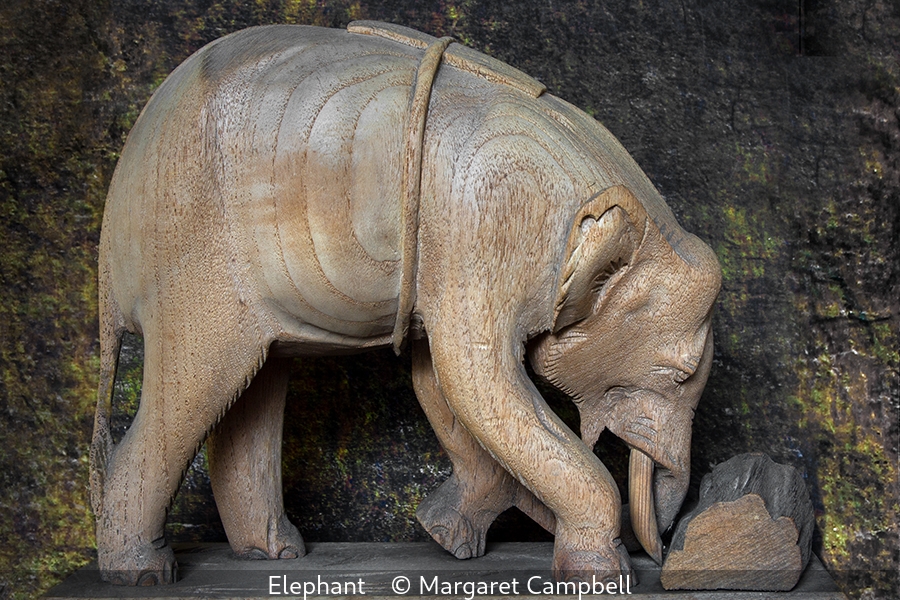 Margaret Campbell_Elephant