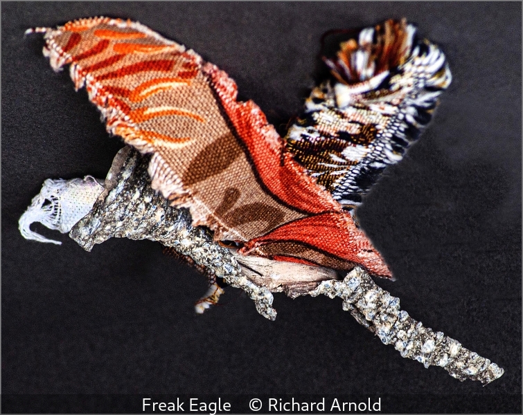 Richard Arnold_Freak Eagle