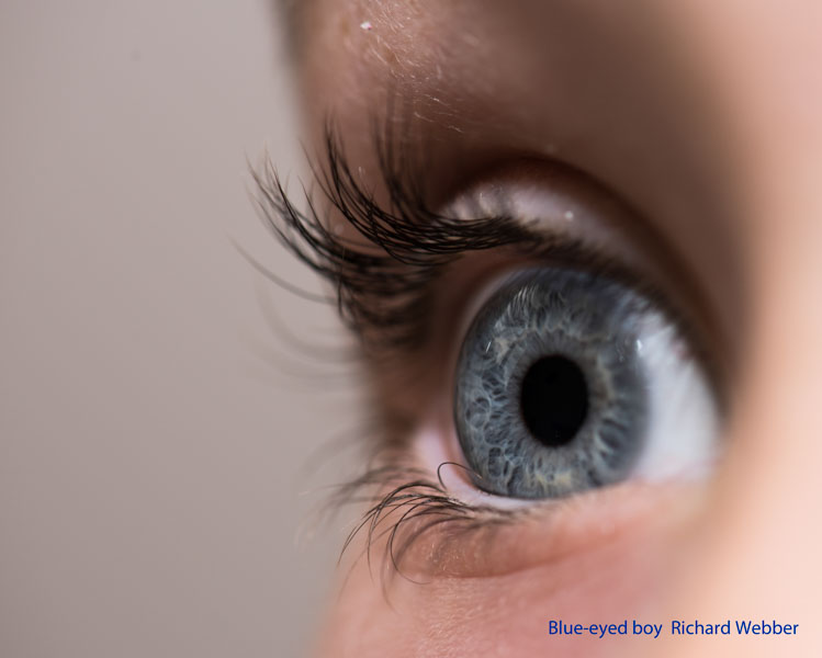 Richard Webber_Blue-eyed boy_128