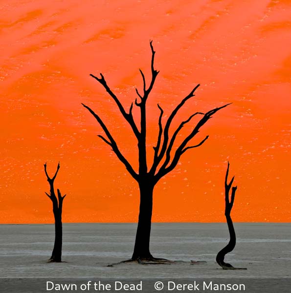 Derek Manson_Dawn of the Dead