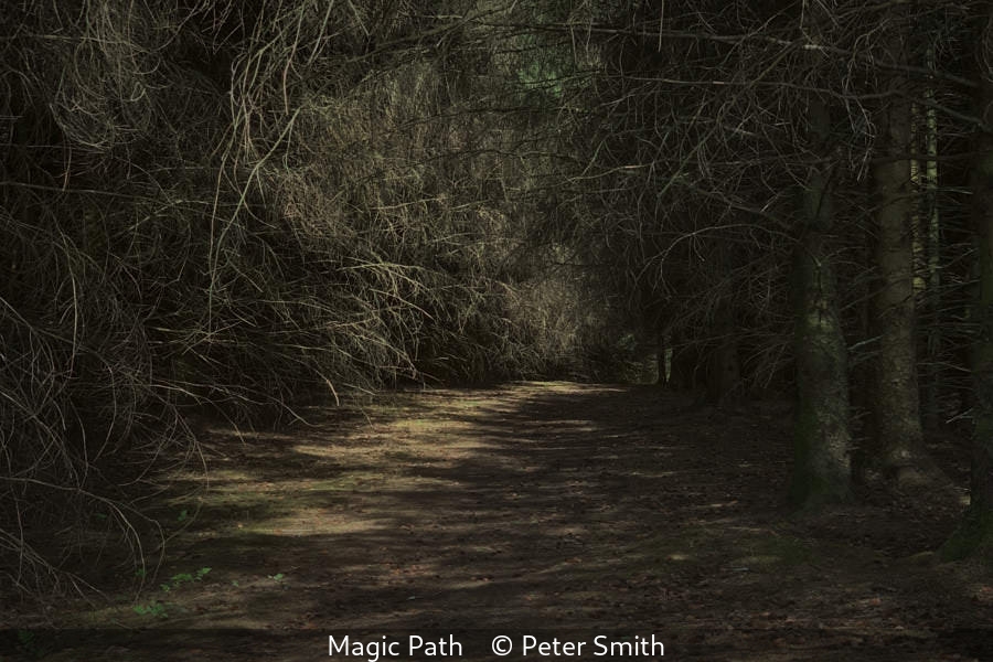 Peter Smith_Magic Path