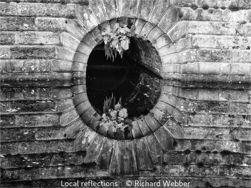 Richard Webber_Local reflections