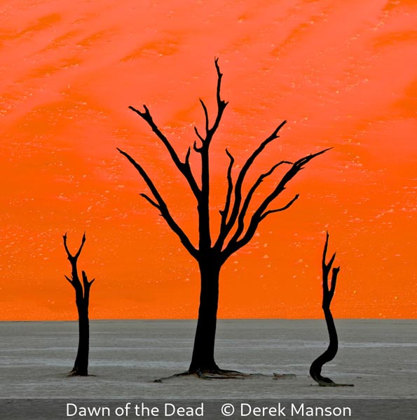 02 Derek Manson_Dawn of the Dead