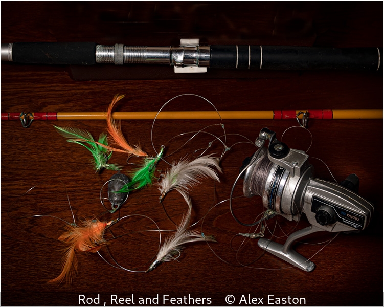 Alex Easton_Rod , Reel and Feathers