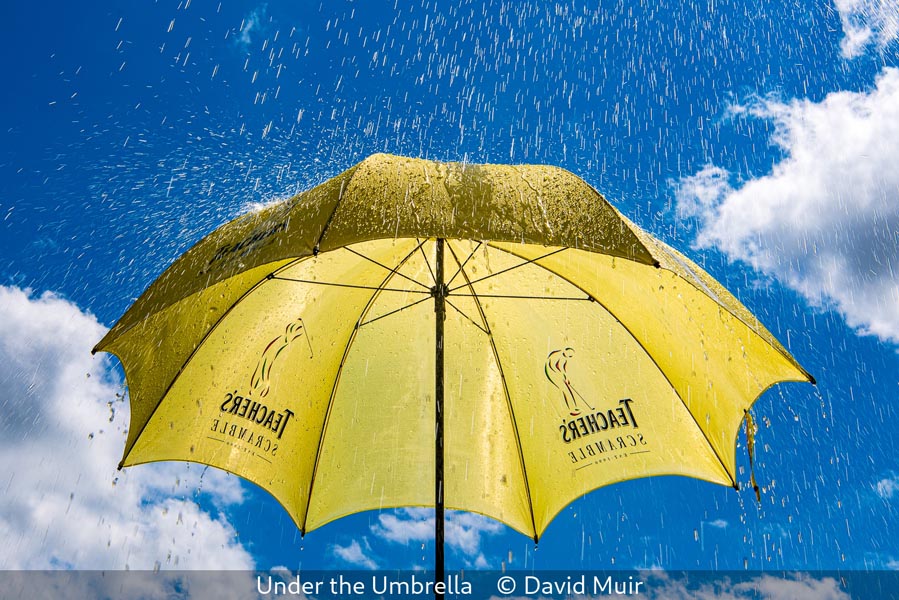 David Muir_Under the Umbrella_1