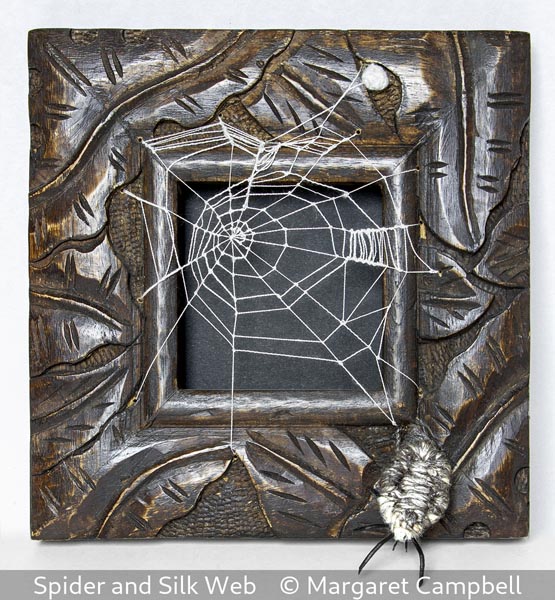 Margaret Campbell_Spider and Silk Web_1