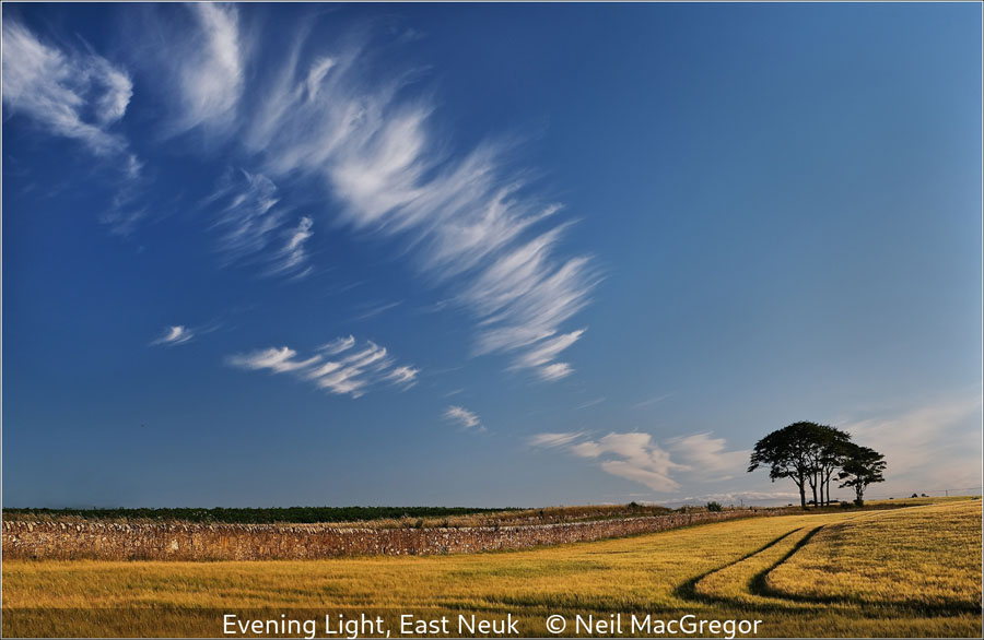 Neil MacGregor_Evening Light, East Neuk