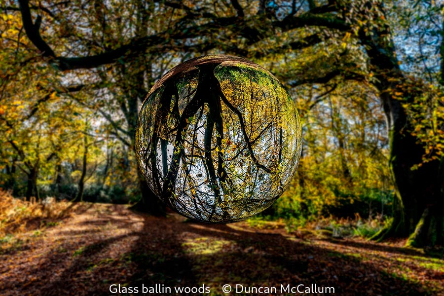 Duncan McCallum_Glass ballin woods