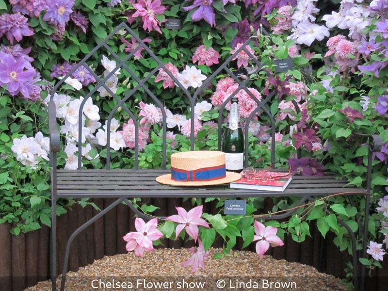 Linda Brown_Chelsea Flower show