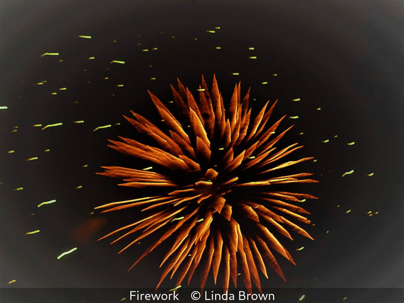 Linda Brown_Firework