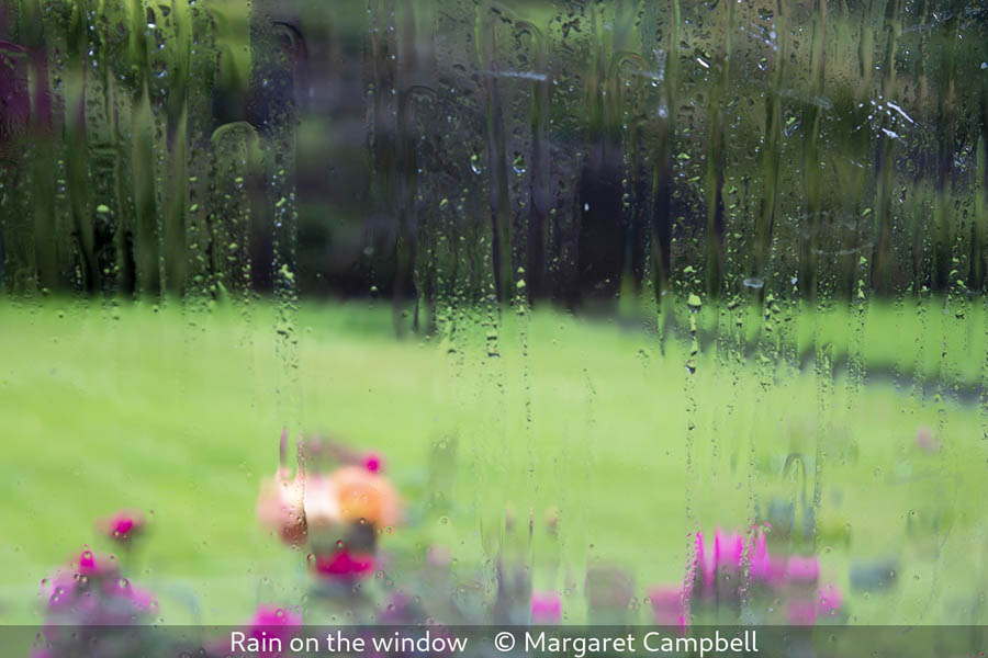 Margaret Campbell_Rain on the window