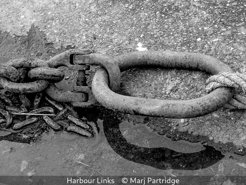 Marj Partridge_Harbour Links