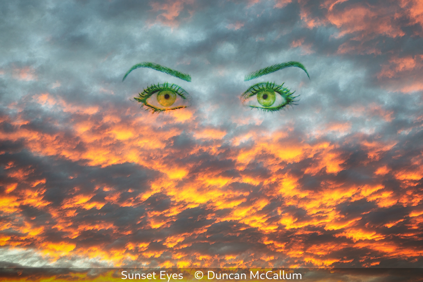Duncan McCallum_Sunset Eyes