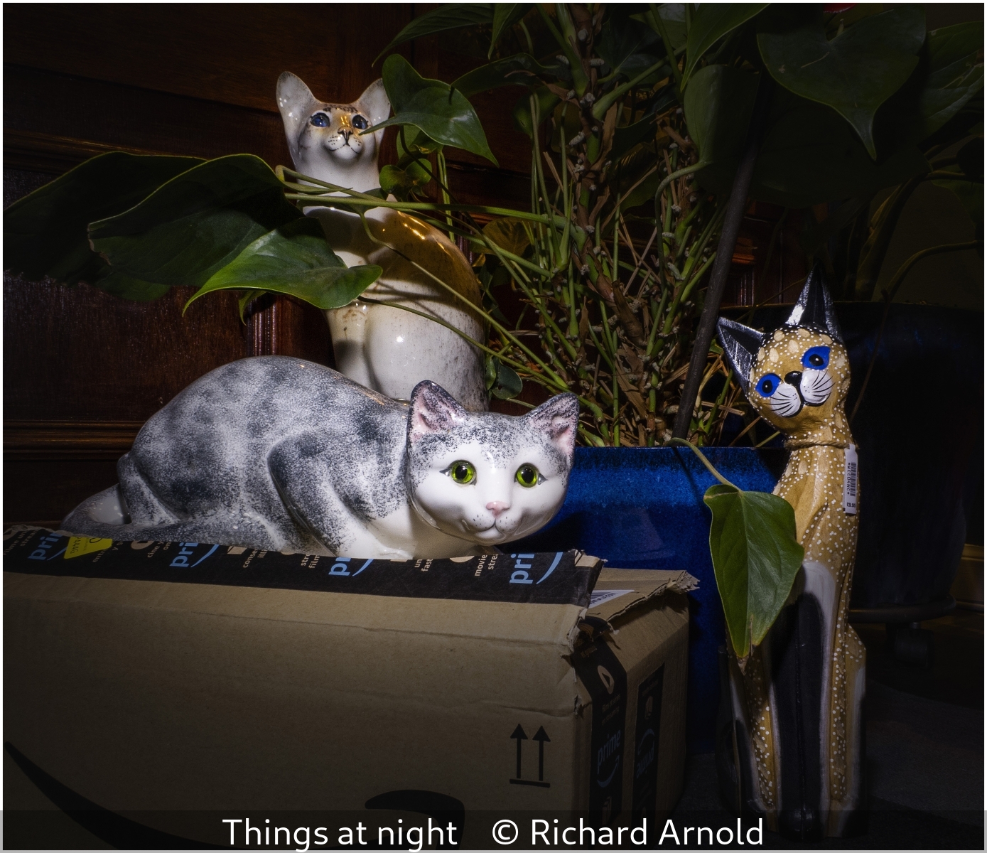 Richard Arnold_Things at night