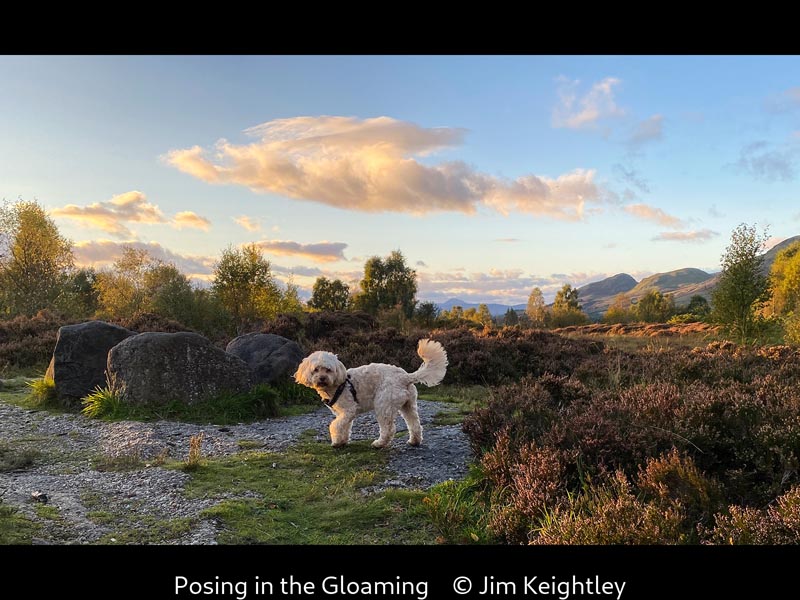 Jim Keightley_Posing in the Gloaming
