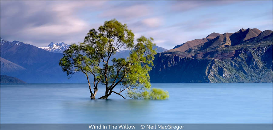Neil MacGregor_Wind In The Willow