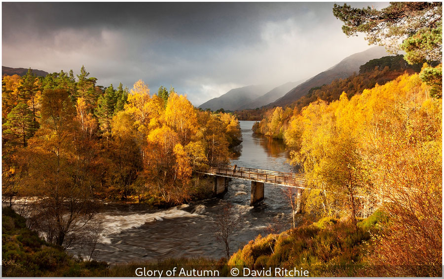 11 David Ritchie_Glory of Autumn