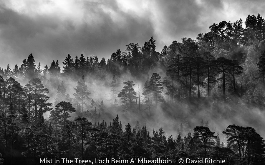 David Ritchie_Mist In The Trees, Loch Beinn A' Mheadhoin