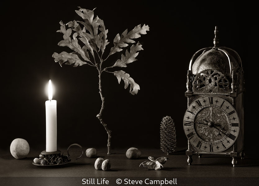 Steve Campbell_Still Life