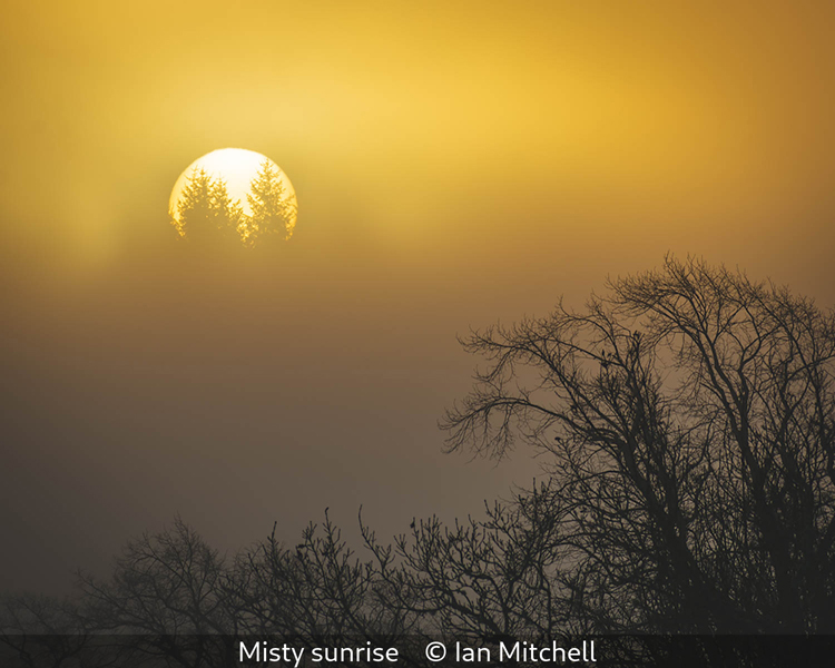 Ian Mitchell_Misty sunrise